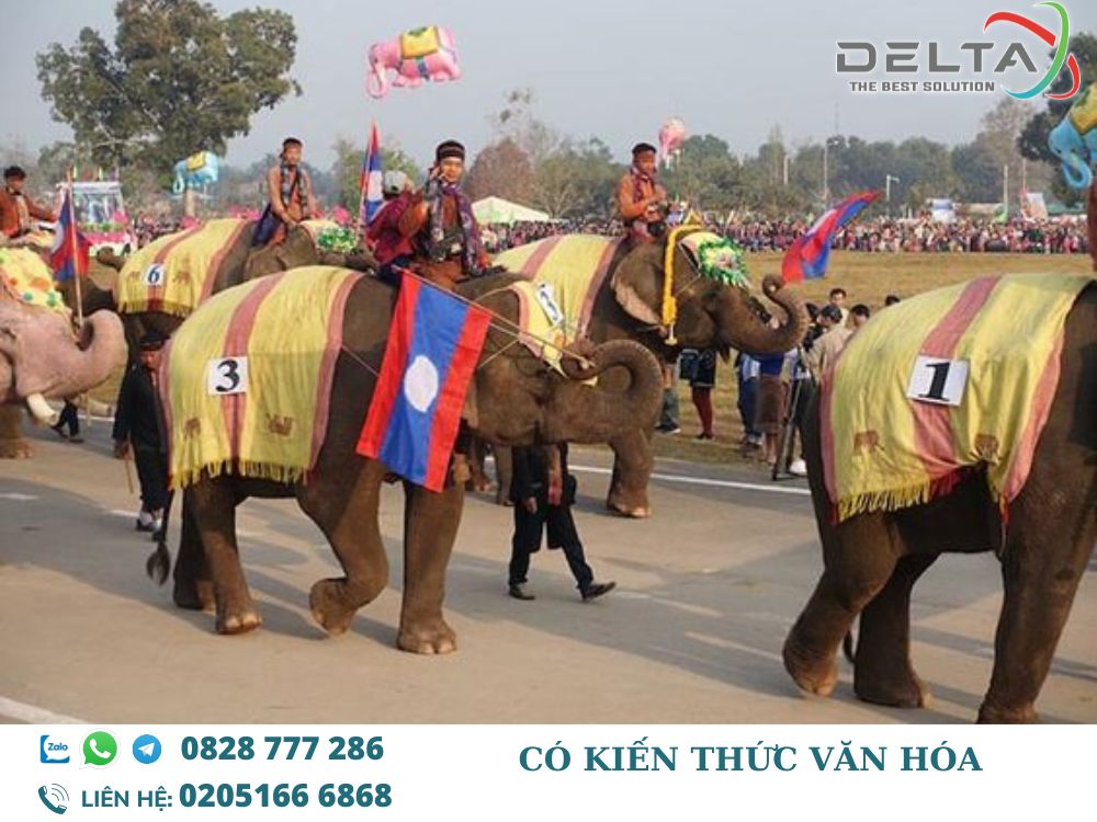 Co- kien- thuc-van-hoa-Deltalaoslogistics