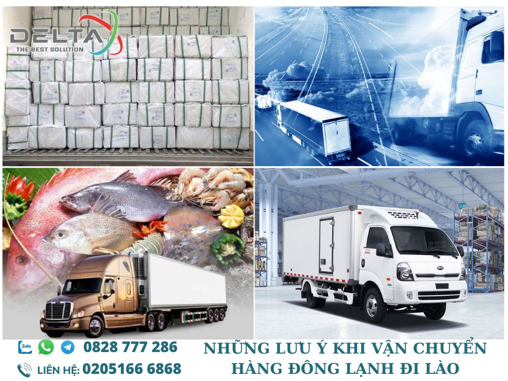 Nhung-luu-y-khi-van-chuyen-hang-dong-lanh-di-Lao-Deltalaoslogistics