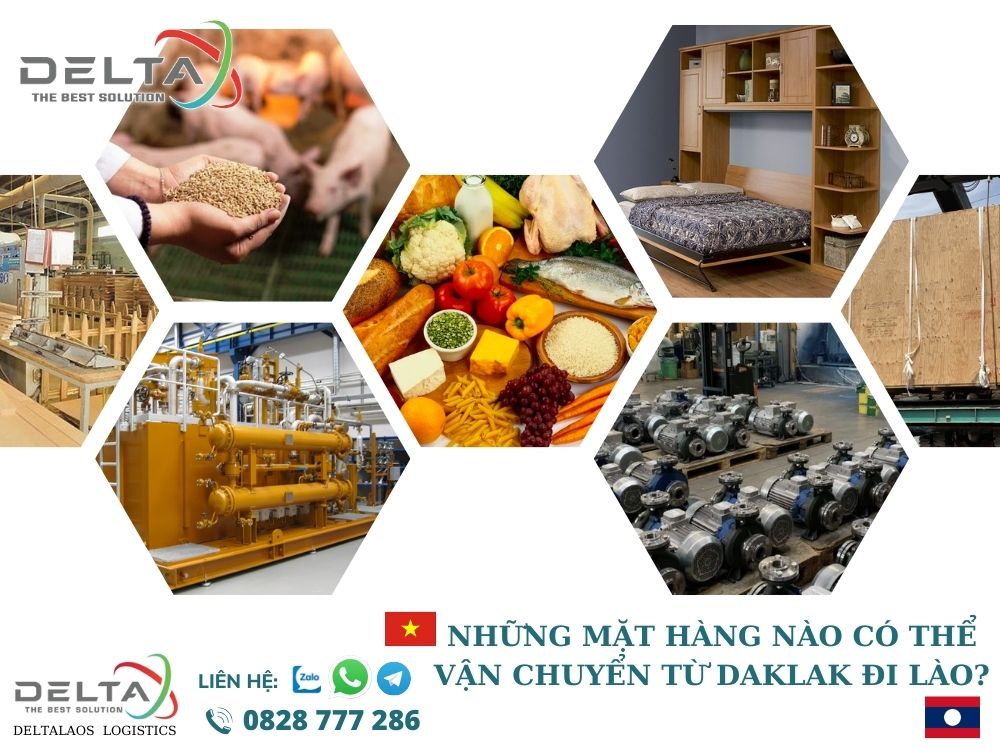 Nhung-mat-hang-nao-co-the-van-chuyen-tu-dak-lak-di-lao-deltalaoslogistcs