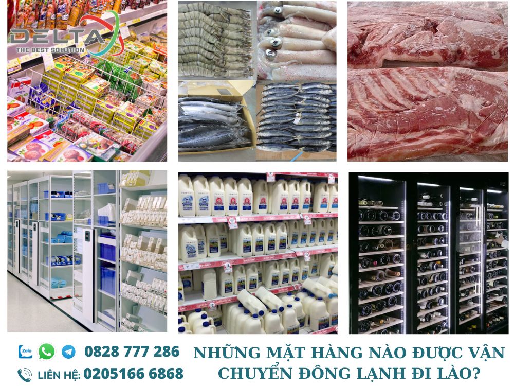 Nhung-mat-hang-nao-duoc-van-chuyen-dong-lanh-di-lao-deltalaoslogistics