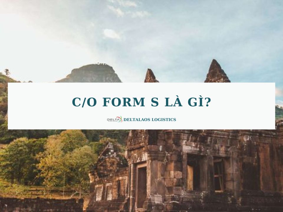 C/O Form S là gì? Quy trình xin cấp C/O Form S