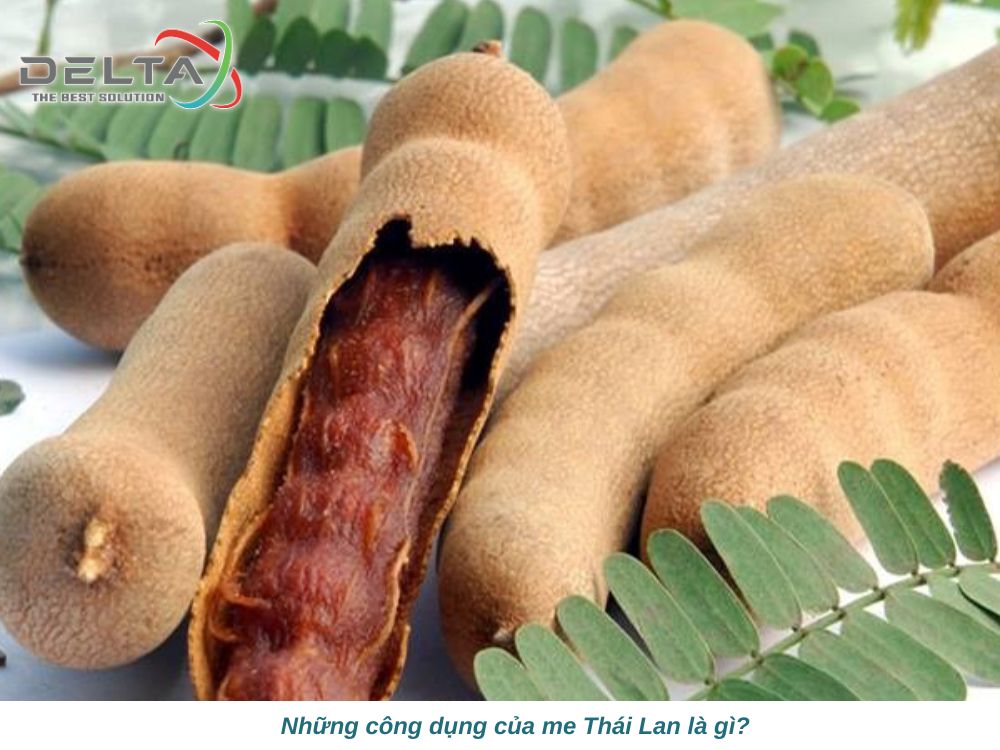 cong-dung-cua-me-thai-lan-la-gi-deltalaoslogistics