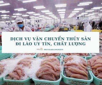 Dịch vụ vận chuyển thủy sản đi Lào nhanh chóng, bảo đảm chất lượng