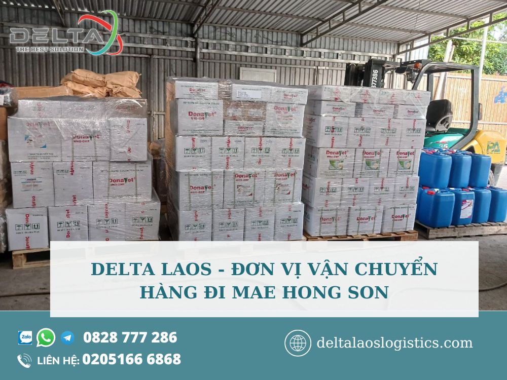 don-vi-van-chuyen-hang-di-mae-hong-son-deltalaoslogistics