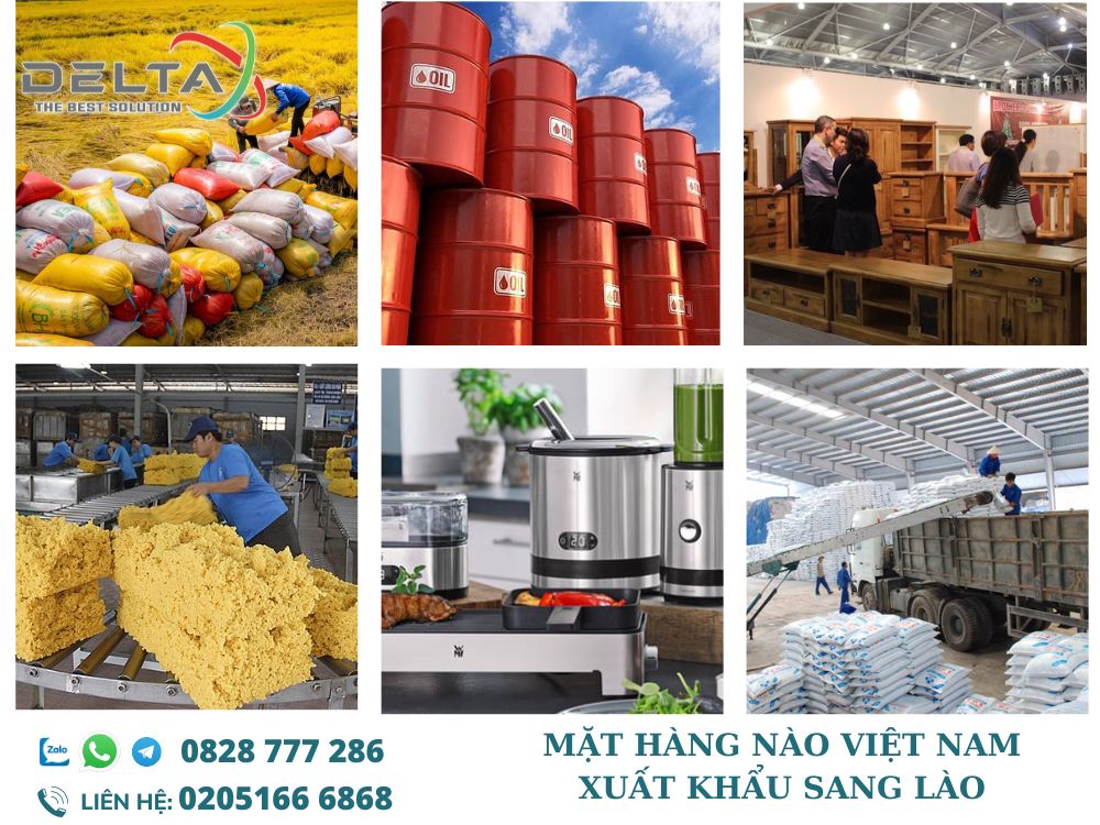 mat-hang-nao-viet-nam-xuat-khau-sang-lao-deltalaoslogistics