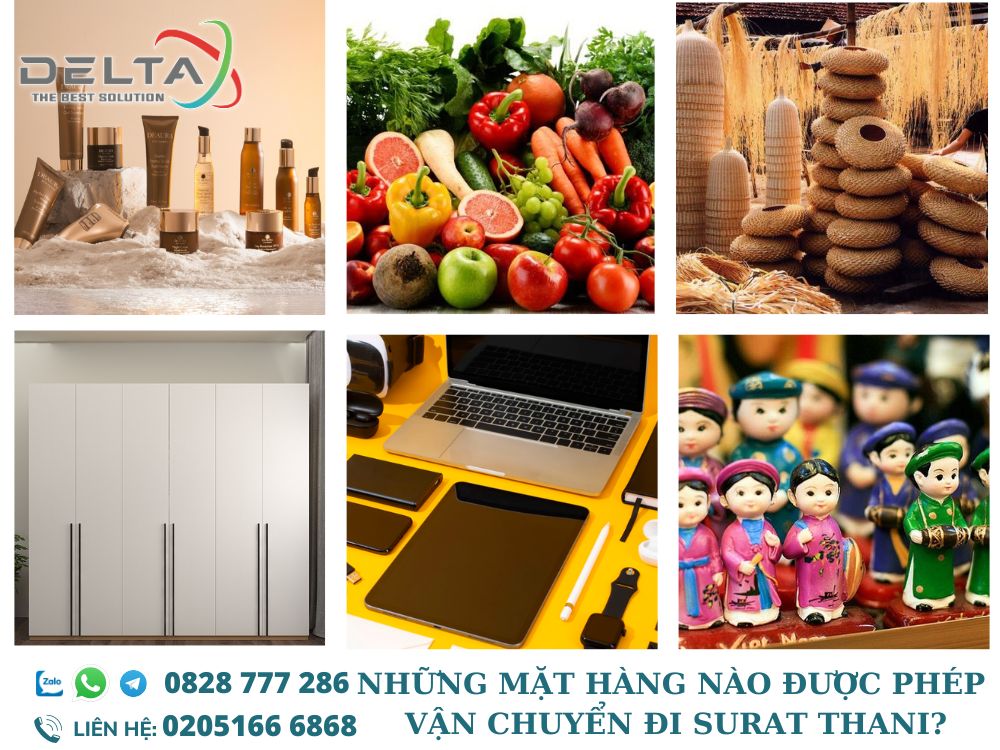 nhung-mat-hang-van-chuyen-di-surat-thani-deltalaoslogistics