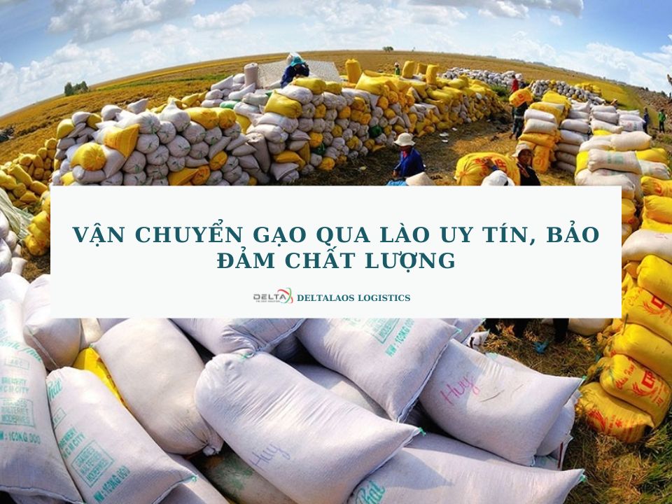 Vận chuyển gạo qua Lào uy tín, bảo đảm chất lượng