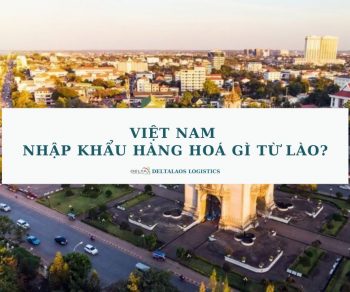 Việt Nam nhập khẩu hàng hóa gì từ Lào?